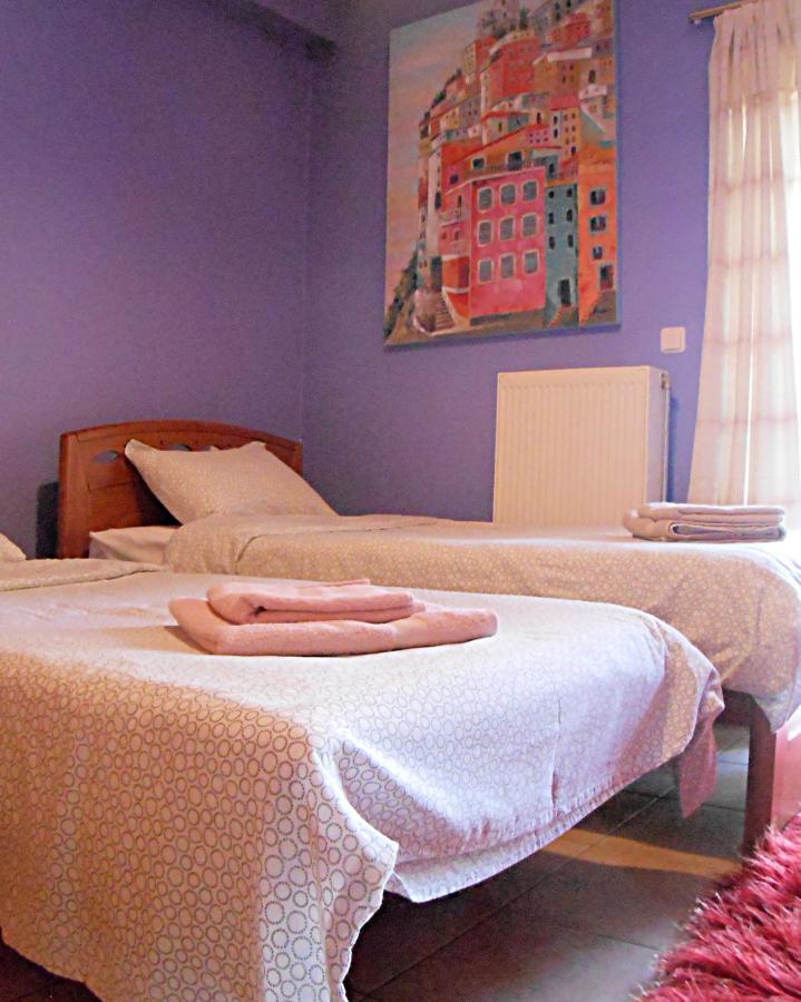 Secret Garden 76 Sq.M. Apartment Close To City Center ヨアニナ エクステリア 写真